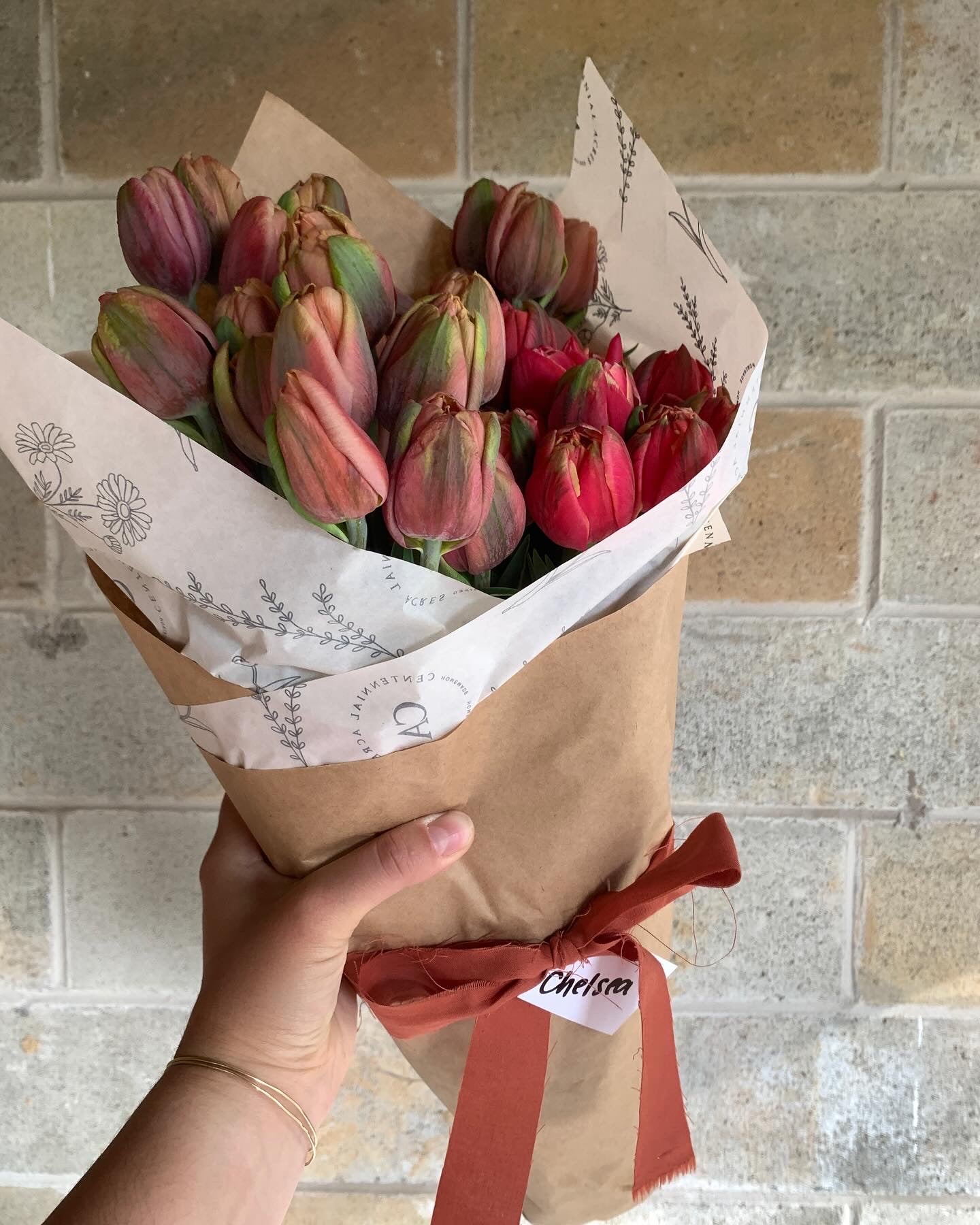 Four Weeks of Tulips (April-May)