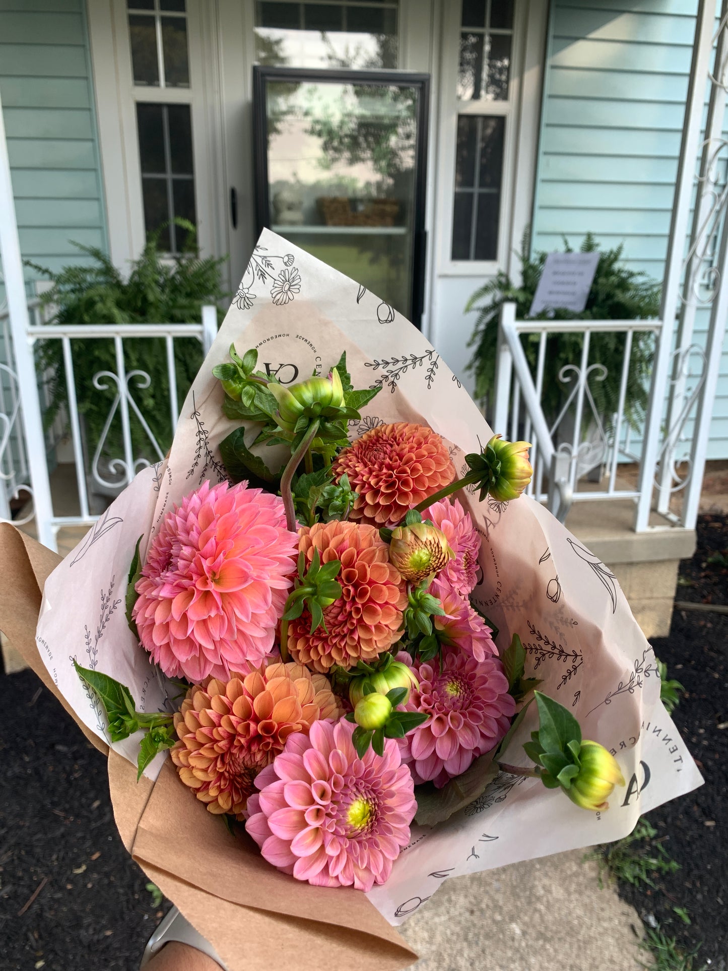 Four Weeks of Dahlias (September)