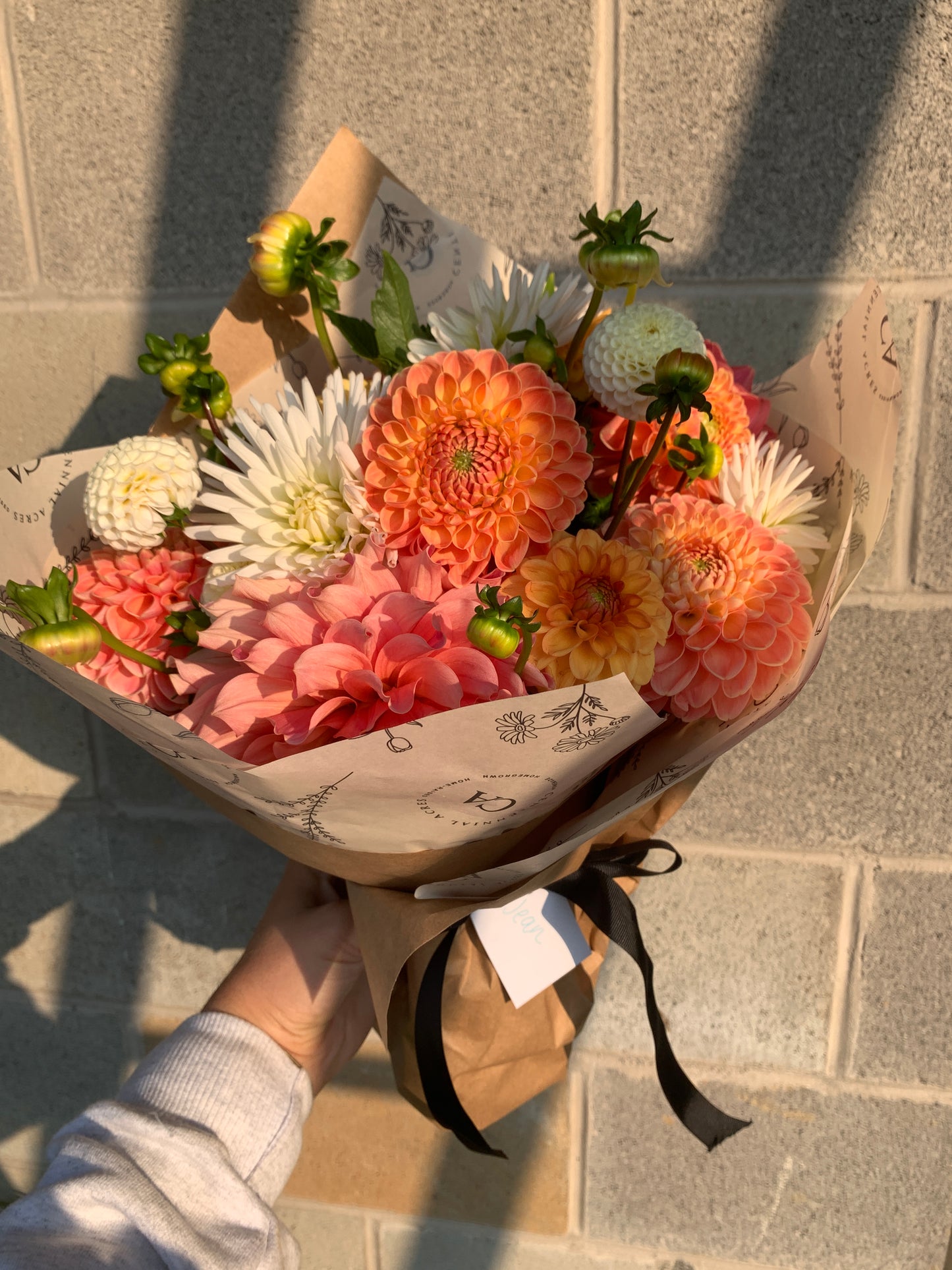 Four Weeks of Dahlias (September)