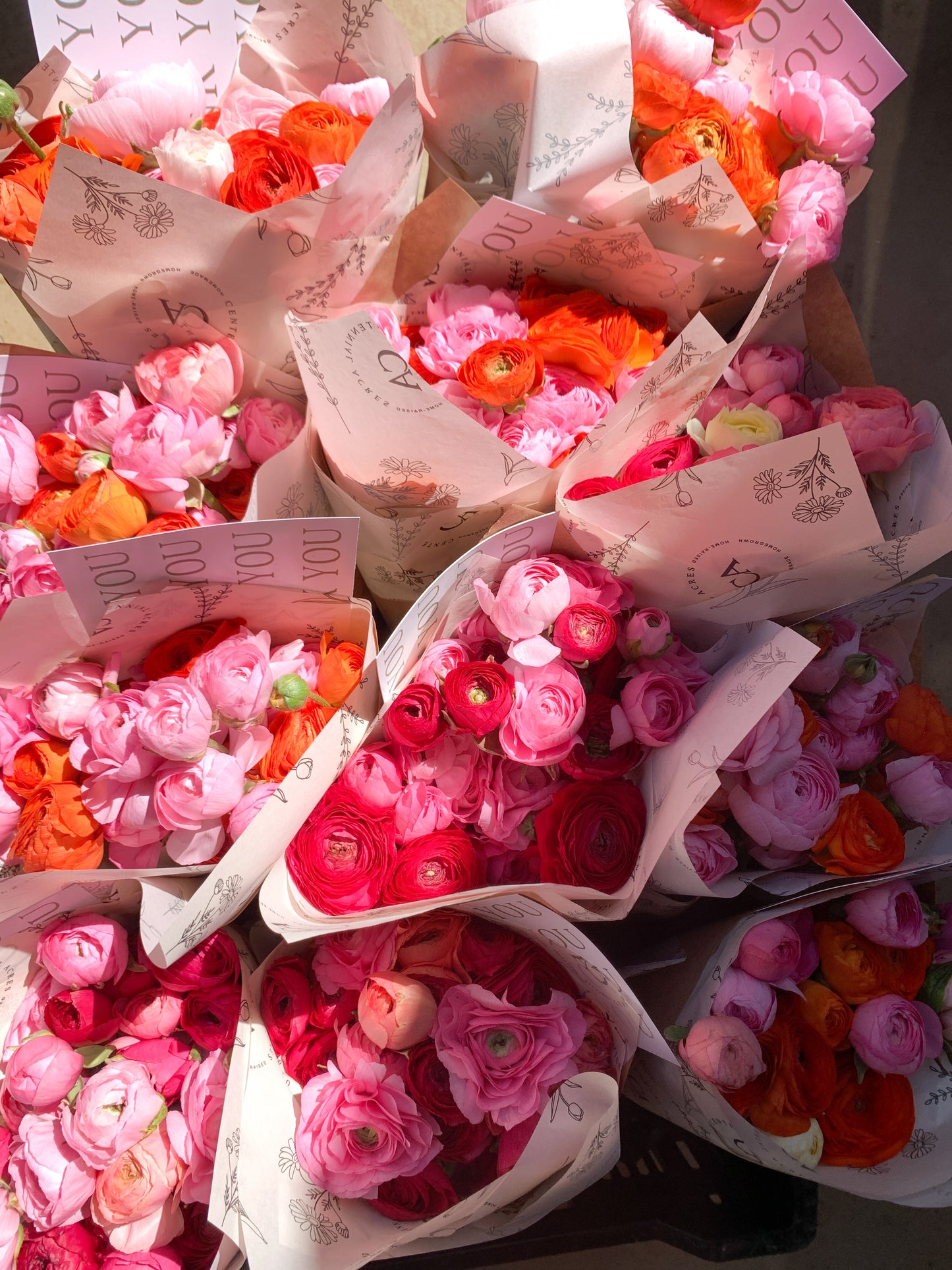 Three Weeks of Ranunculus (May-June)