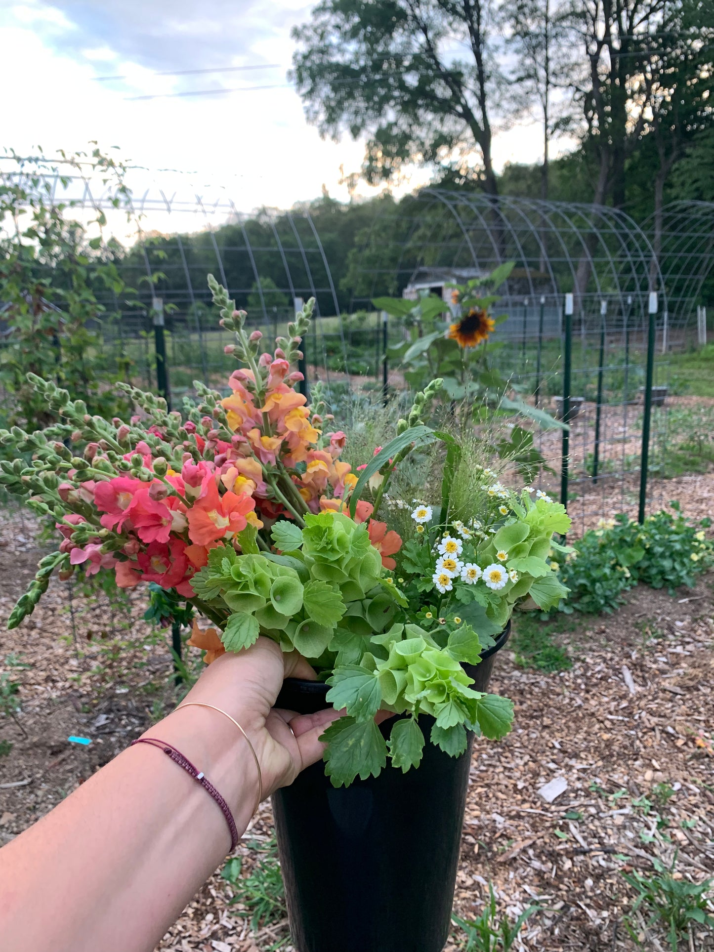 Bucket of Blooms