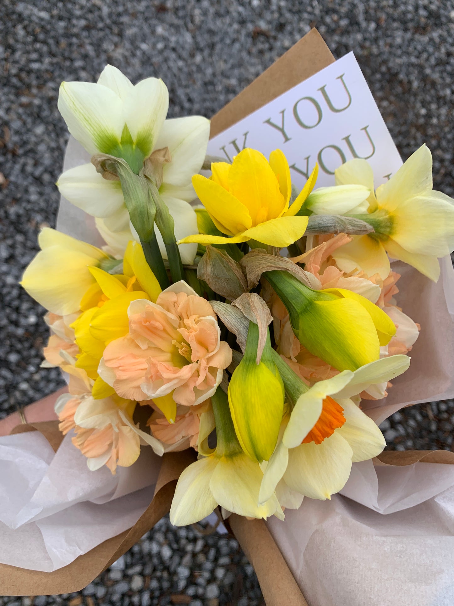 Four Weeks of Fragrant Narcissus (April-May)