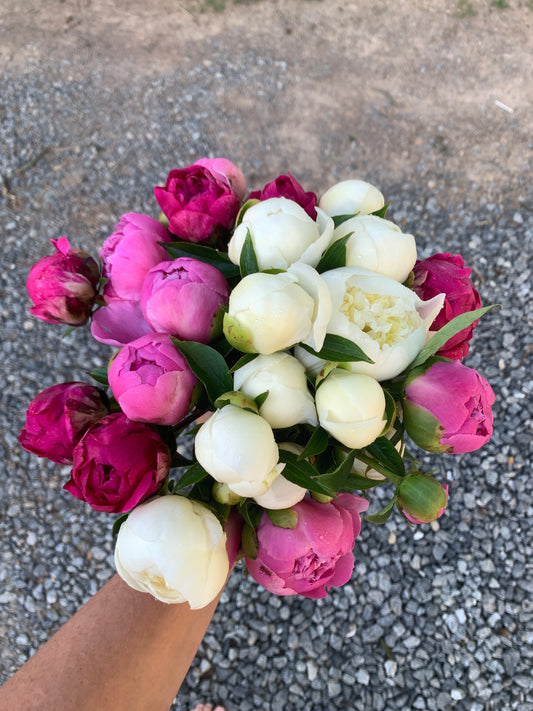 Peony Bouquet